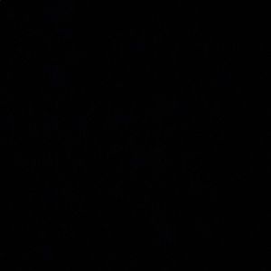 Meet your Posher, Katya